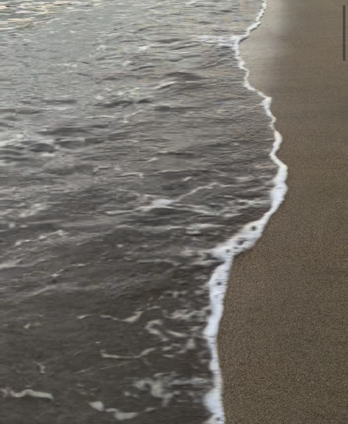 The quiet hours between tide and shore